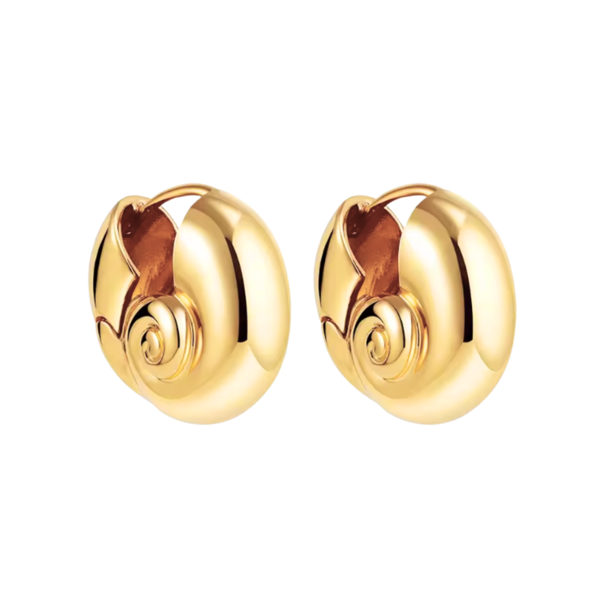 HYPOALLERGENIC SHELL EARRINGS