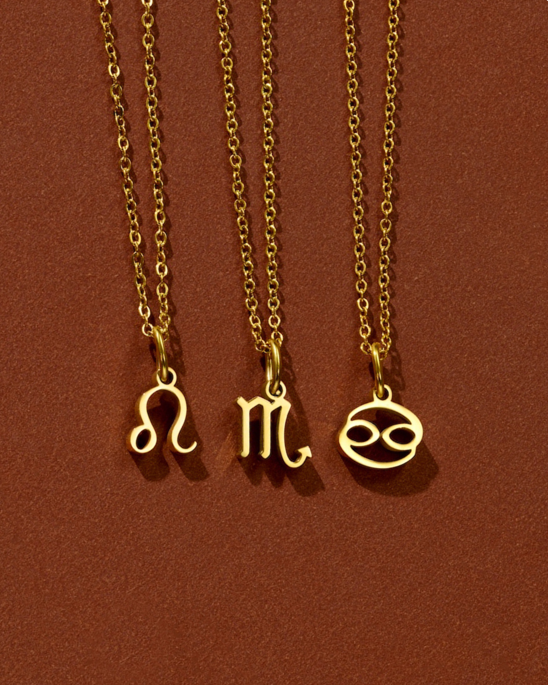 Zodiac Charm with Cable Chain Necklace