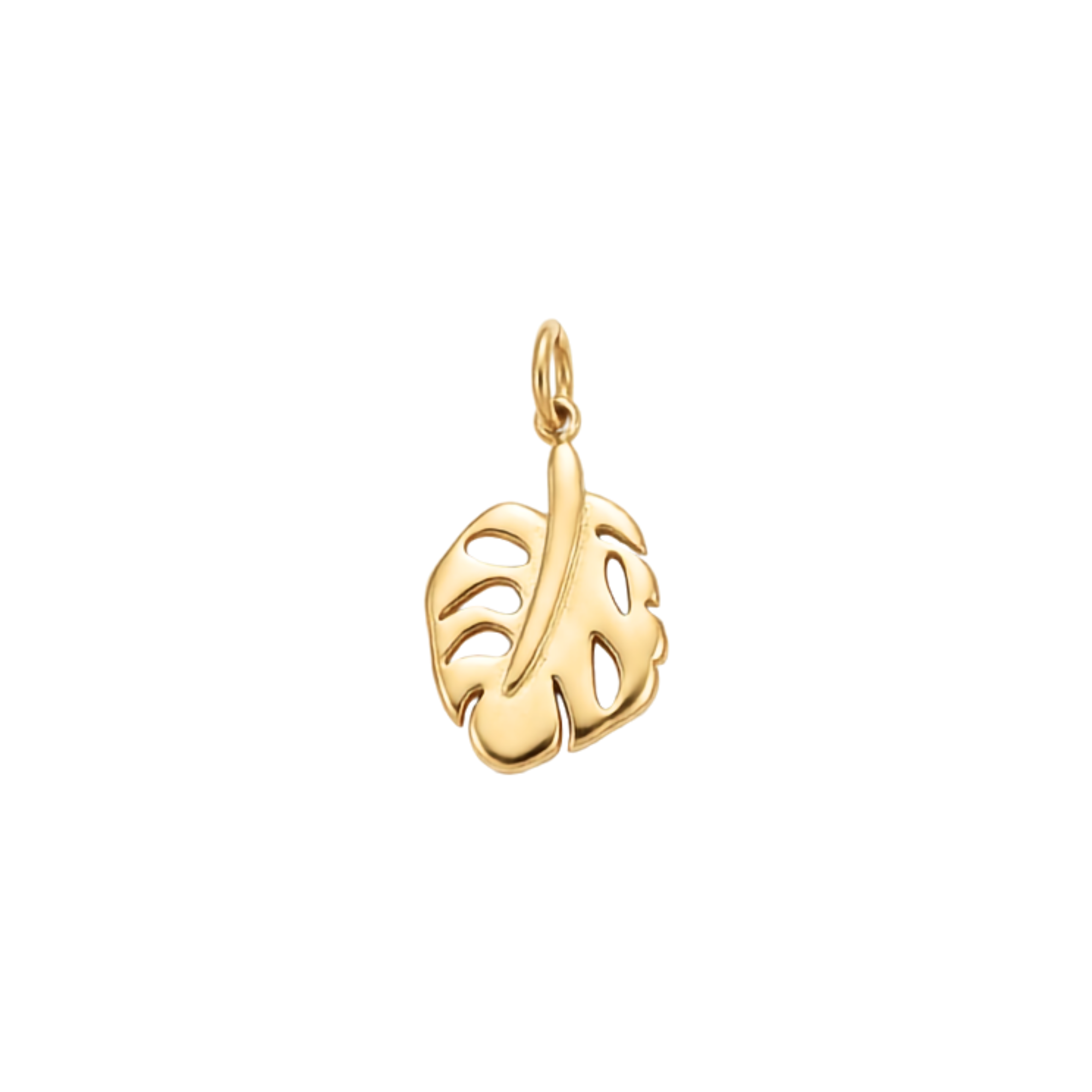 Monstera Leaf Charm