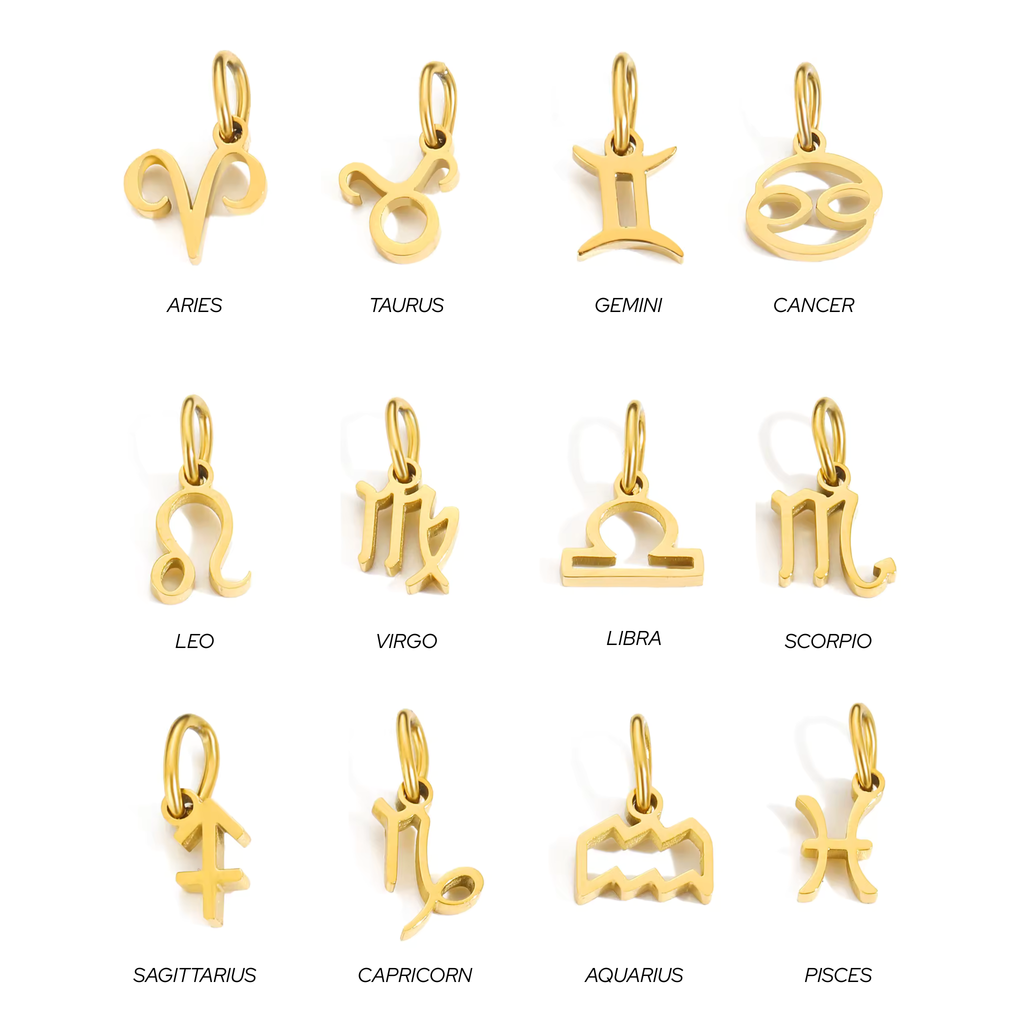 Zodiac Charm with Paperclip Chain Necklace