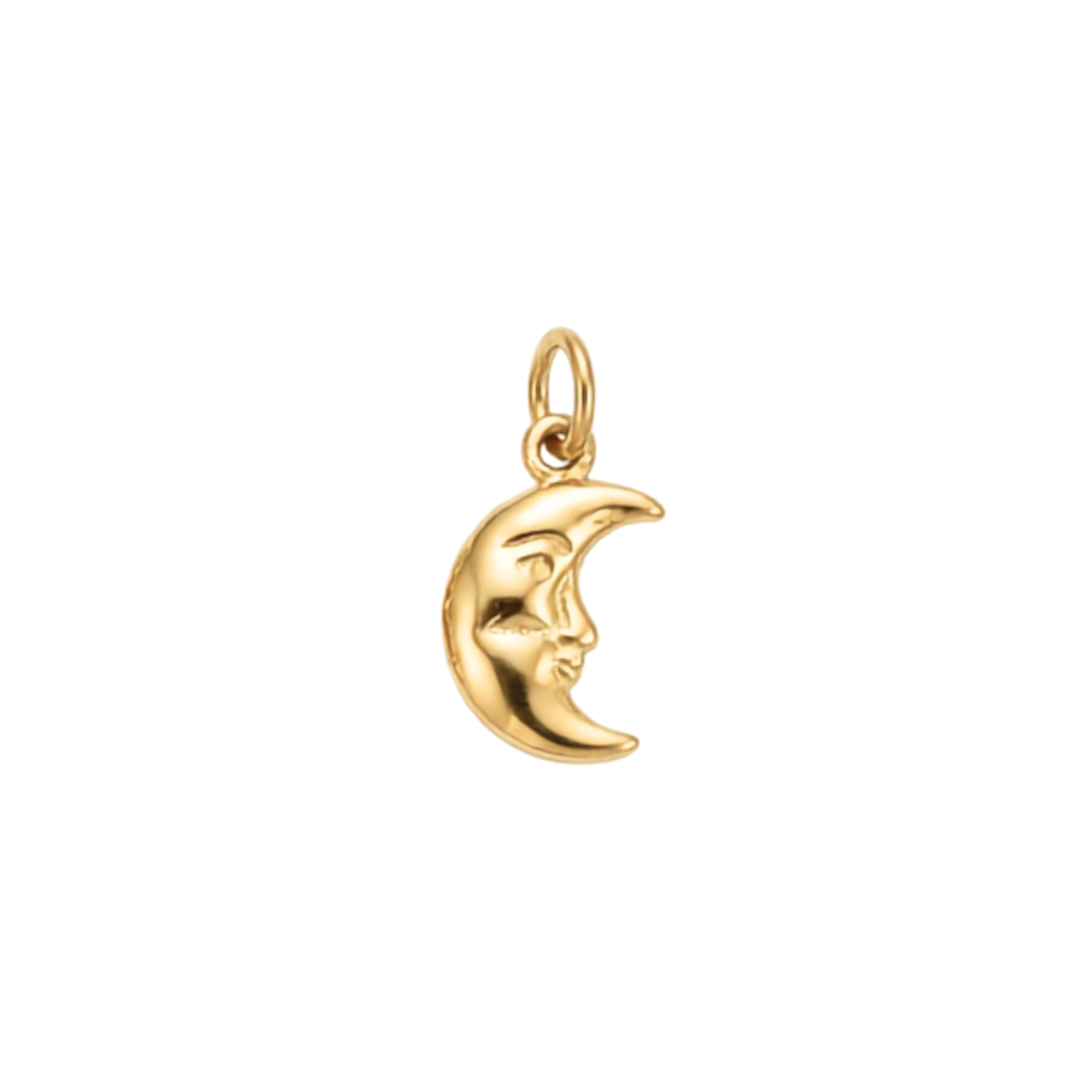 Little Moon Charm