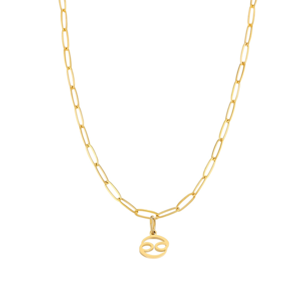 Zodiac Charm with Paperclip Chain Necklace