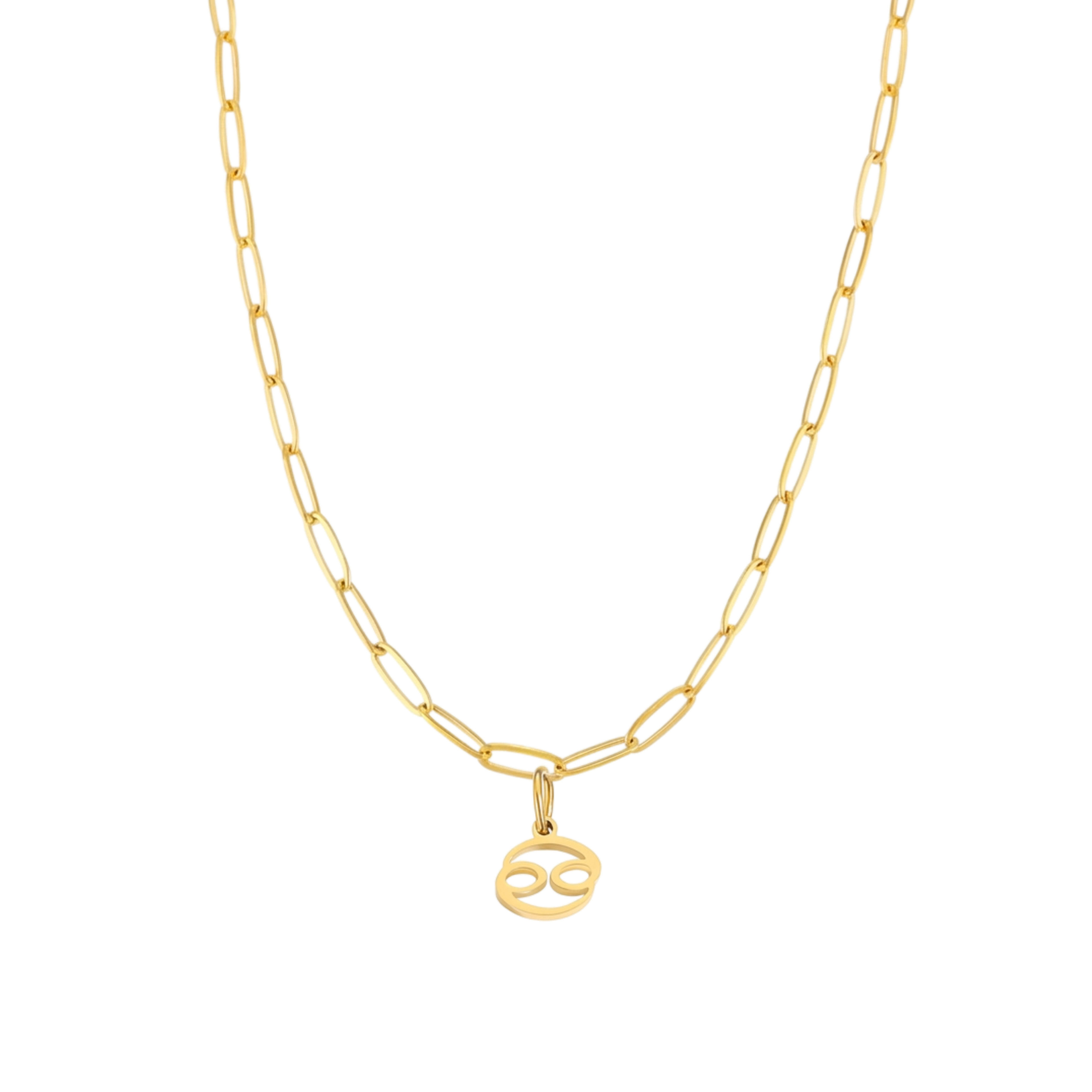 Zodiac Charm with Paperclip Chain Necklace