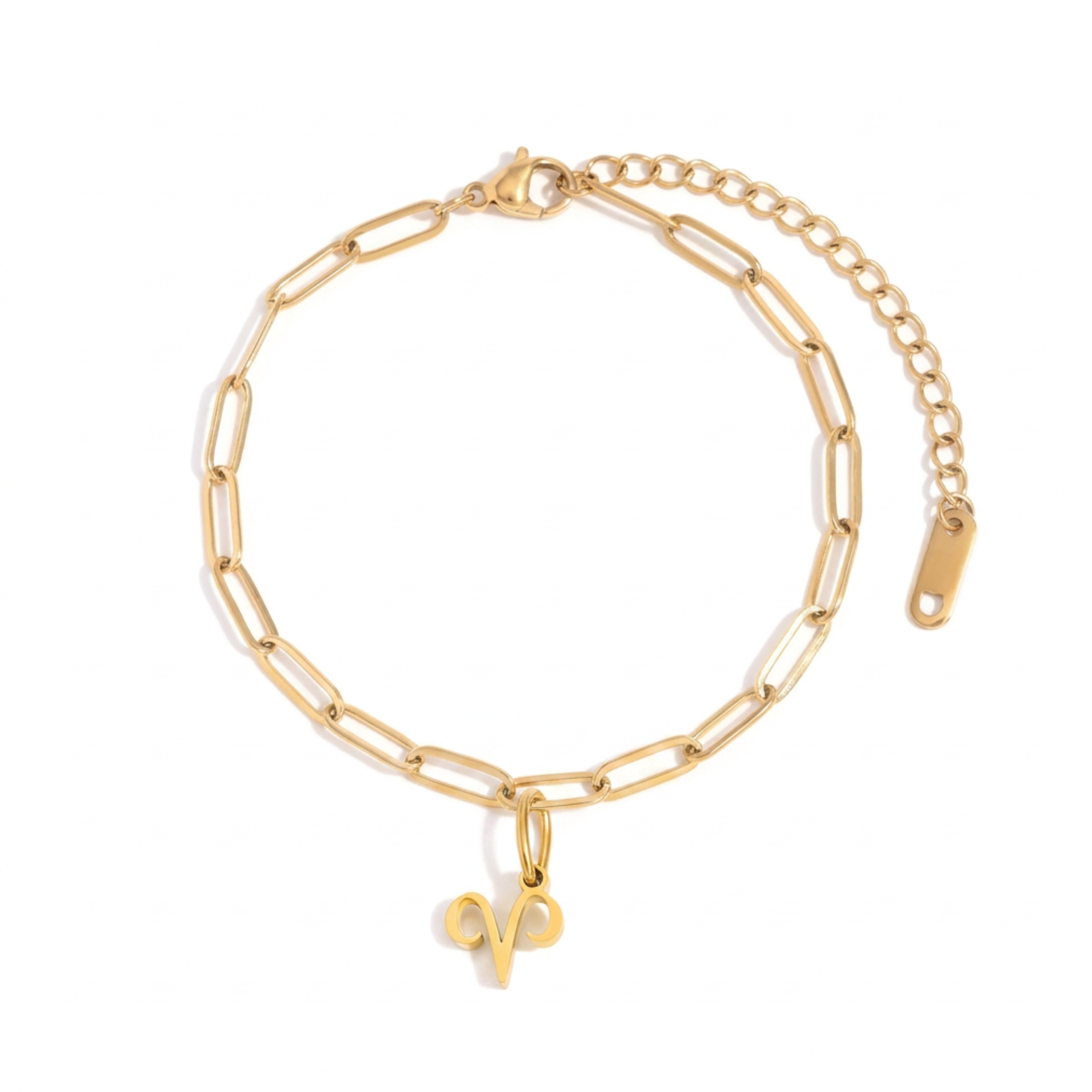 Zodiac Charm with Paperclip Chain Bracelet